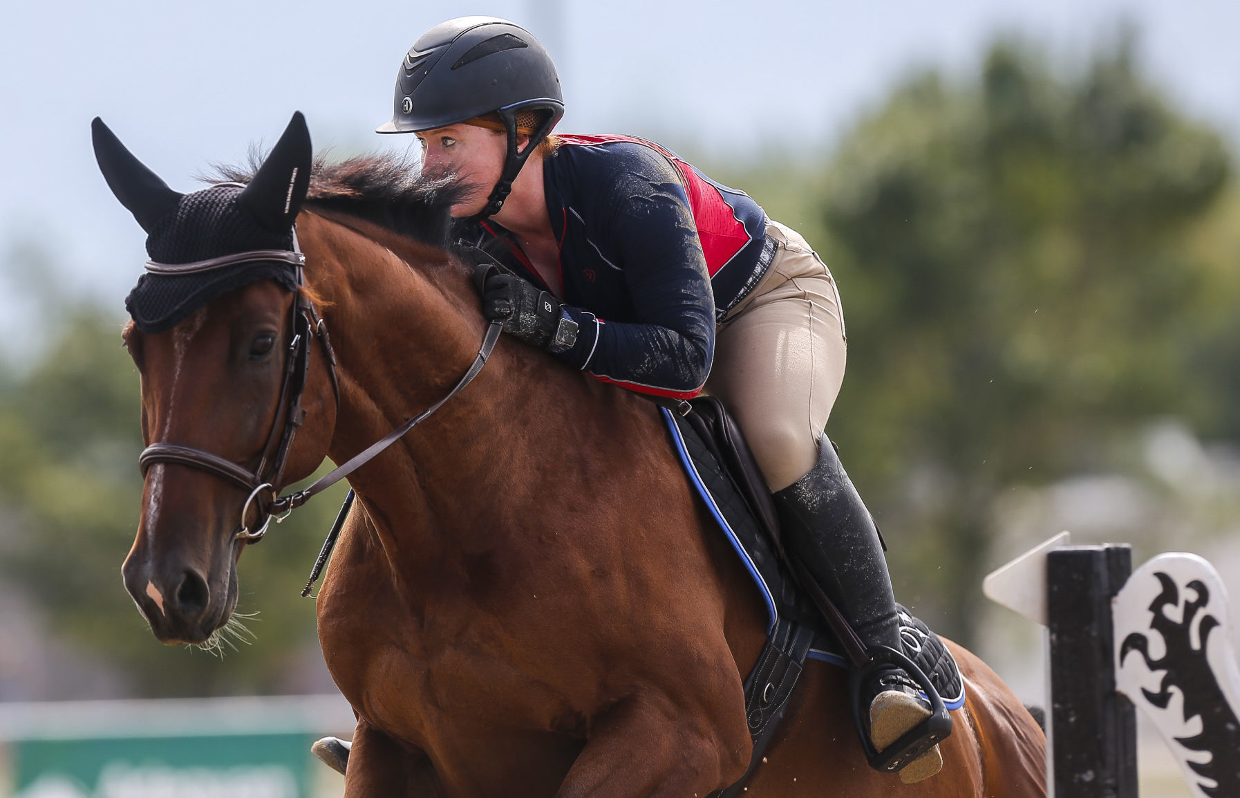 Midstates Horse Show 5